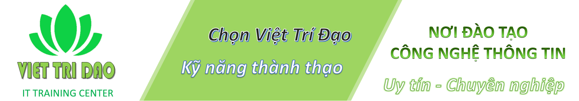 Việt Trí Đạo